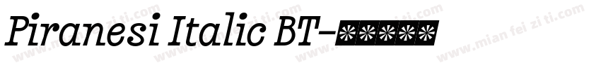 Piranesi Italic BT字体转换